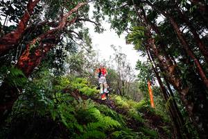 BIB: 
                            <button type="button" onclick="openModal(26201894)" class="btn btn-primary btn-sm float-right btn-popup" data-toggle="modal" data-target=".modal-high-quality">
                        <i class="fas fa-shopping-cart"></i> Add to Cart
                    </button>
                                            <button type="button" onclick="isThisMe(26201894, true)" class="btn btn-success btn-sm float-right btn-popup btn-isme hidden" data-toggle="tooltip" data-placement="bottom" title="นี่คือรูปของคุณใช่ไหม คลิกที่นี่เพื่อเอาเข้าอัลบั้ม">
                        <i class="fas fa-plus"></i> Add to album
                    </button>
                    <button type="button" onclick="isThisMe(26201894, false)" class="btn btn-warning btn-sm float-right btn-popup btn-isnotme hidden">
                        <i class="fas fa-ban"></i> Remove from album
                    </button>